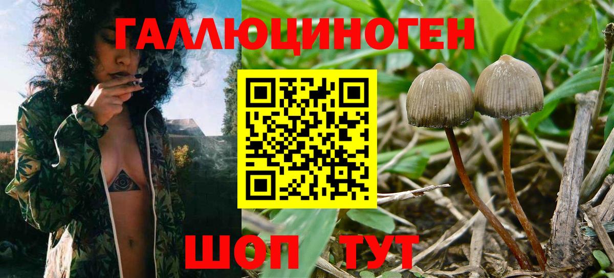 Псилоцибиновые грибы мухоморы Жигулёвск