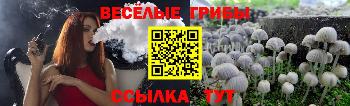 Галлюциногенные грибы GOLDEN TEACHER  Вход с VPN  Жигулёвск 